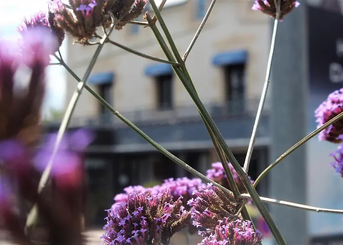 Ξενοδοχείο Les Treize Assiettes - Baie Du Mont-saint-michel Le Val-Saint-Père