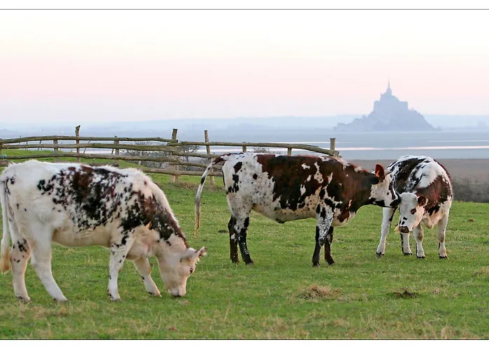 Les Treize Assiettes - Baie Du Mont-saint-michel Ξενοδοχείο