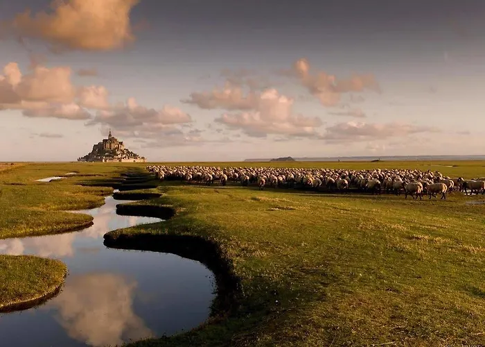 Les Treize Assiettes - Baie Du Mont-saint-michel